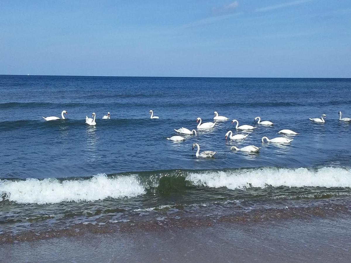 Sea & You Apartament Z Widokiem Na Morze - Dwie Sosny Ustronie Morskie Buitenkant foto
